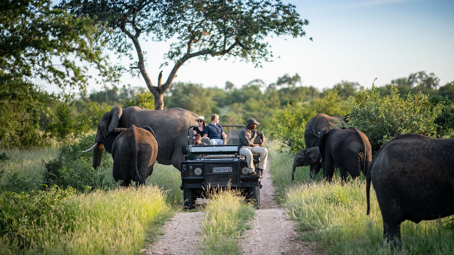 KRUGER PARK EXPLORER